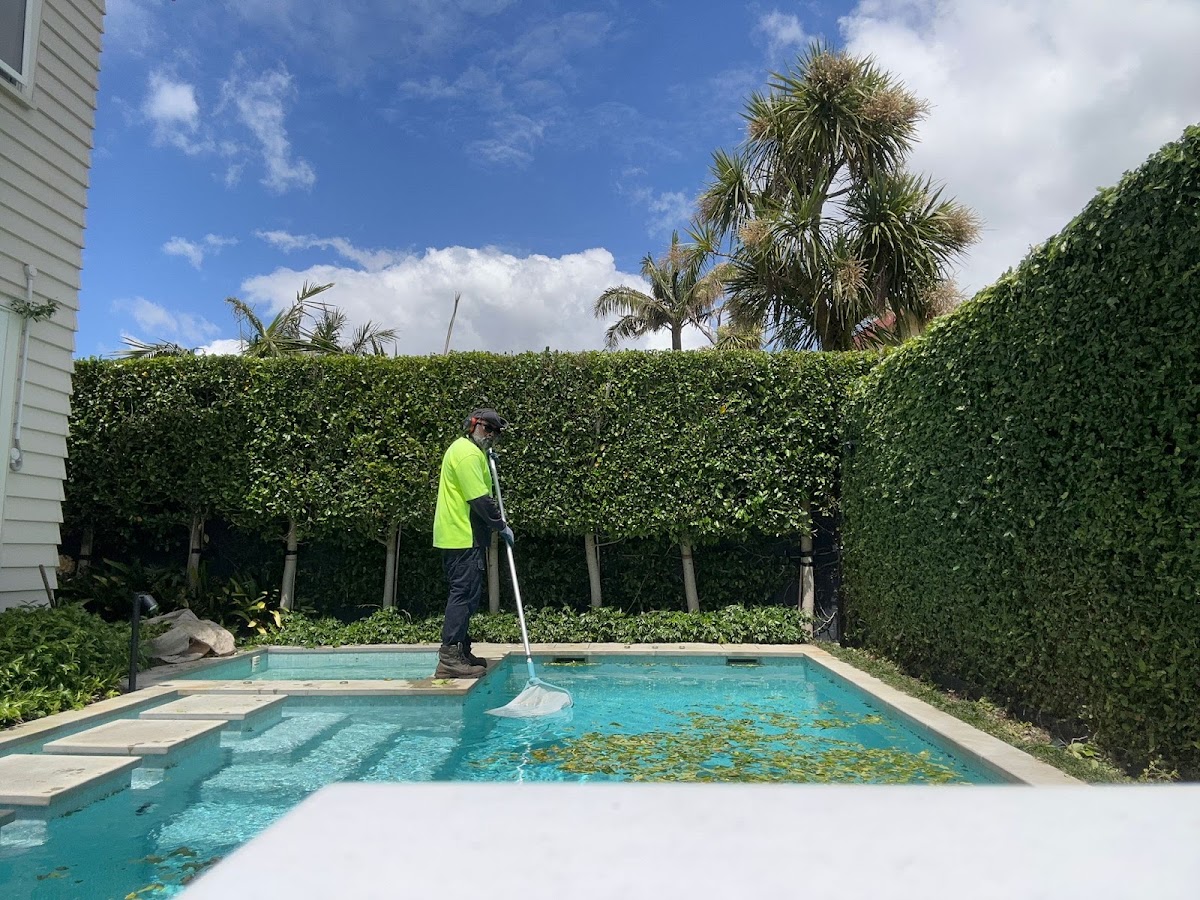 Peak Property Services team member working beside immaculate clipped hedges and a pool