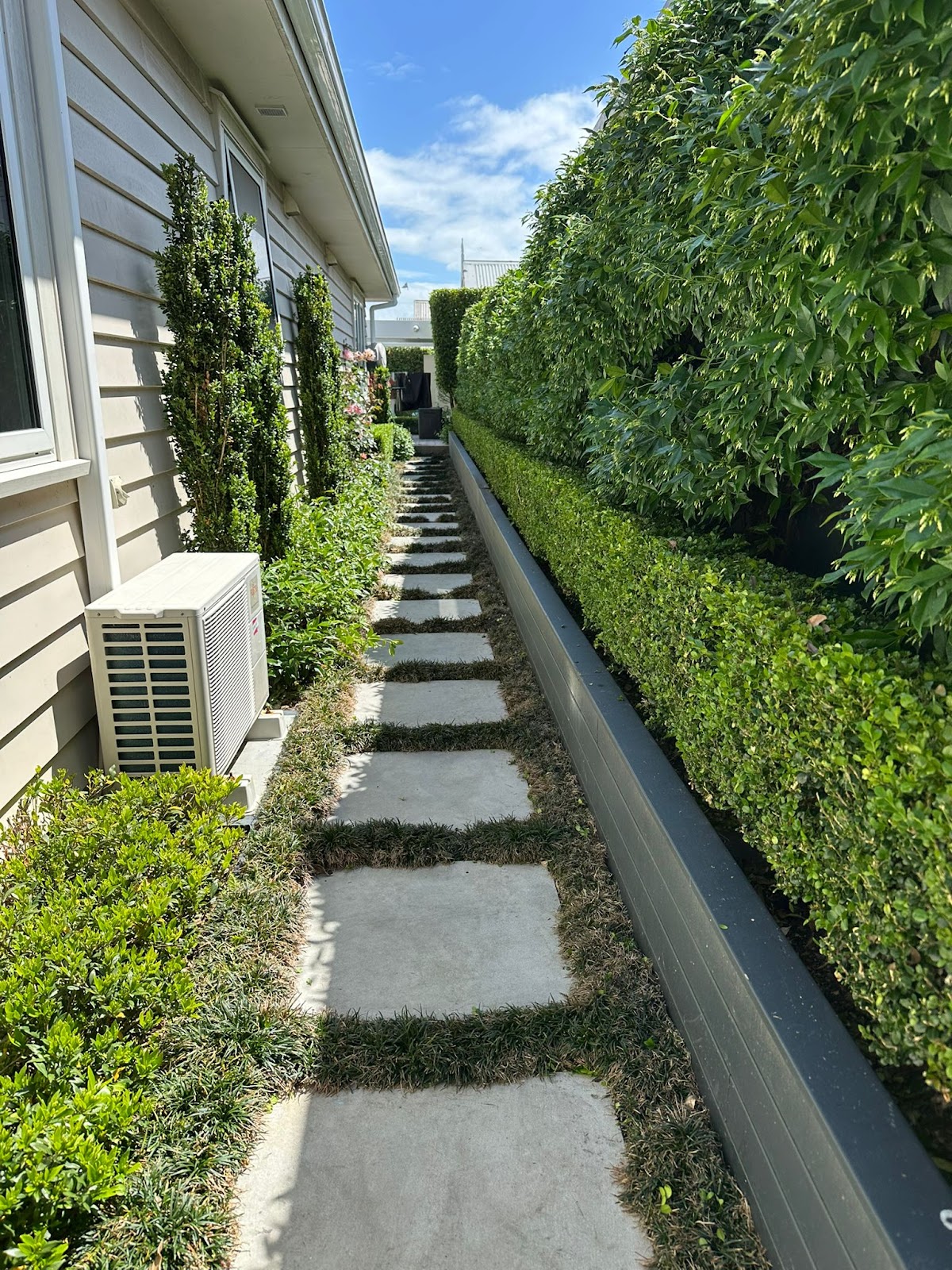 Stepping stone path between clipped hedges and planting