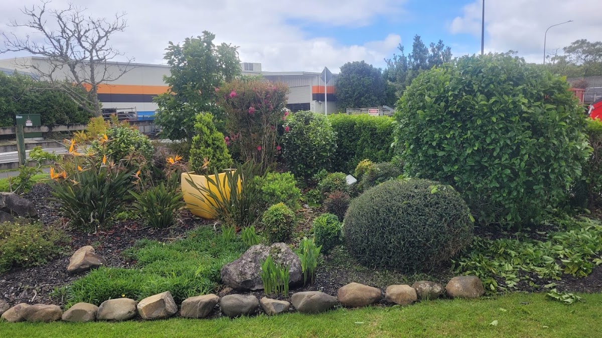 Rock edged garden bed with mixed planting